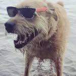 Terry L Mix - @tlmix - Instagram