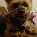 Terry Mix - Facebook
