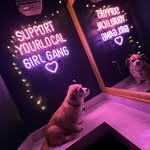 Terry the Terrier Mix 🐶 - @terrypuppers - Instagram