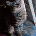 Terry Montes - Facebook