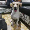 Terry Montes - @terryelterryble - TikTok