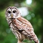 Terrylynne Holmes Mooneyham - @terrylynnemooneyham - Instagram