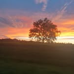 Terry Smith - @terrymoose62781 - Instagram
