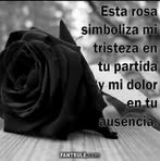 Terry Moreno - Facebook