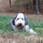 Terry Morey - Facebook