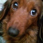 Terry Morey - @morey.terry - Instagram