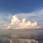Terry Morey Woodbury - @terrymoreywoodbury - Instagram