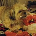 Terry Ahlberg Morrill - @ahlbergmorrill - Instagram