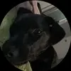 Terri Moses - @terri.moses - TikTok