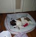 Terry Motes - Facebook