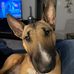 Terri Mullin - Facebook