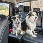 Terry Mullins - @terrymullins54 - Instagram