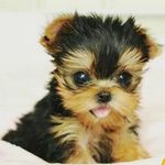 Terry Mullins - @terry.mullins.372 - Instagram