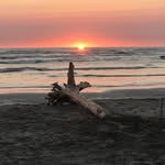 Terry Mullins - @dewmanmullin - Instagram