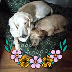 Terry Mullins - Facebook