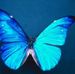 Teresa Nemec - Facebook