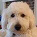 Terry Newland - Facebook