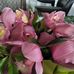 Terry Newland - Facebook