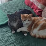 Terry Nickerson - @terrynickerson63 - Instagram