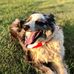 Terry Nies - Facebook