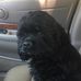 Teresa McBee Northrop - Facebook