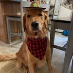 Terry Noyes - @terry.noyes.908 - Instagram