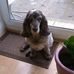Terry Noyes - Facebook