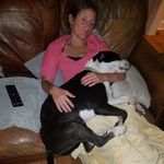 Terry Noyes - @terrynoyes - Instagram