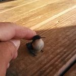 Terry Nunley - @terry.nunley.923 - Instagram