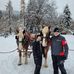 Teresa Shaw Nygaard - Facebook