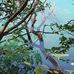 Teri Nygaard - Facebook