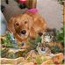 Terry Oconnell - Facebook