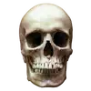 terry_oconnell - @terry_oconnell - TikTok