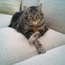 Terry Ohm - Facebook