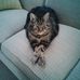 Terry Ohm - Facebook