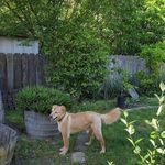 Terri Oldham - @terri.oldham1 - Instagram