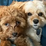 TerryandKristi OliphantandLeonard - @terryoliphant1 - Instagram