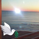 Terry Omeni - @terryomeni - Instagram