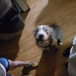 Terry Oneal - @terryoneal28 - Instagram