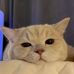 Terry Ong - Facebook