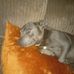 Terry Oreilly - Facebook