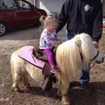 Terry Orton - @terry_orton - Instagram