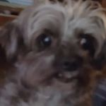 Terry Ortega - @terry.ortega.7 - Instagram