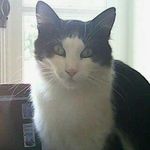 Terry Orton - @telnpat - Instagram