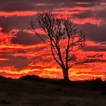 Terry Lee Otis II - @odieii - Instagram