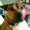 terryotten - @terryotten - TikTok