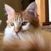 Terri McGraw Ottman - Facebook