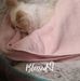 Terry Overman - Facebook