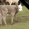 Terry Overton - @terry.overton0 - TikTok