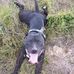 Terry Packer - Facebook